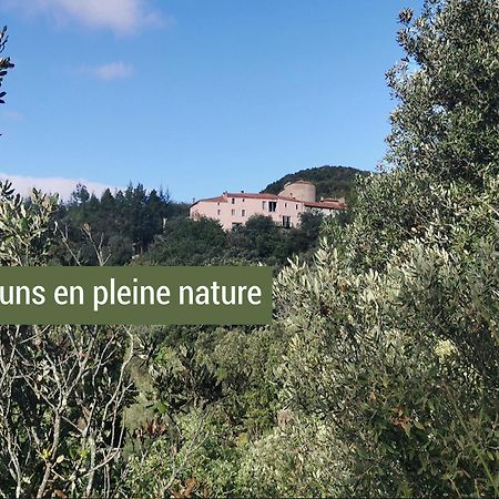 Pyrenees Mon Amour Felluns Exteriér fotografie