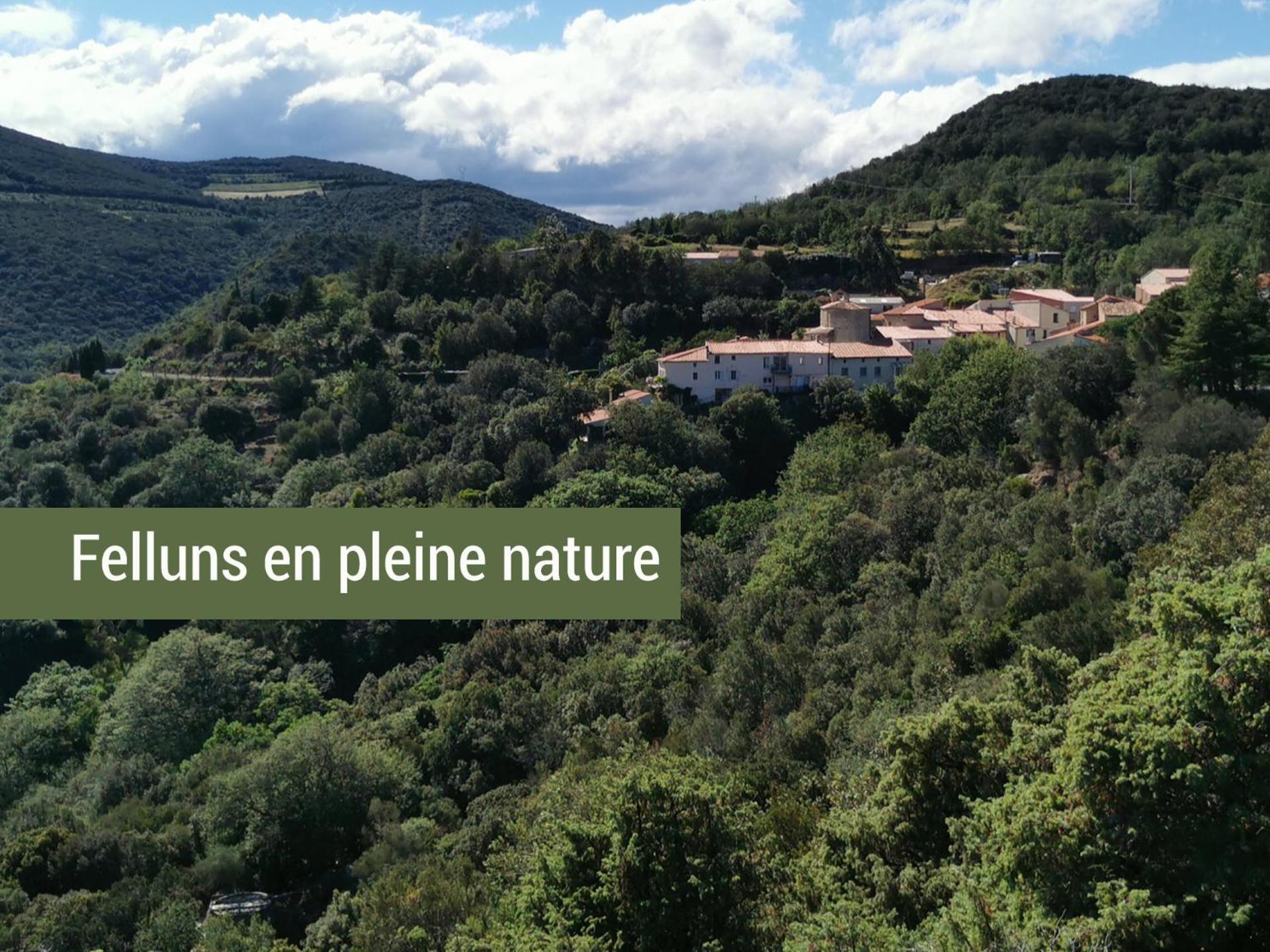 Pyrenees Mon Amour Felluns Exteriér fotografie